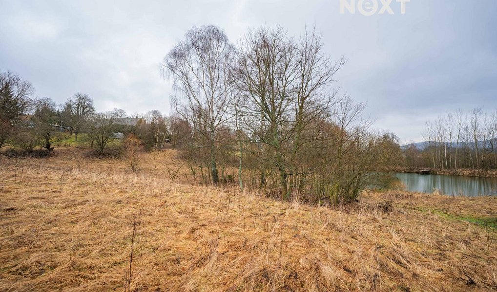 Prodej stavebního pozemku 1 400 m², Malá Morava – náhled fotky 23