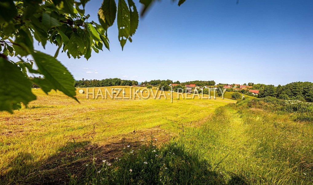 Prodej stavebního pozemku 4 385 m², Dubičné – náhled fotky 12