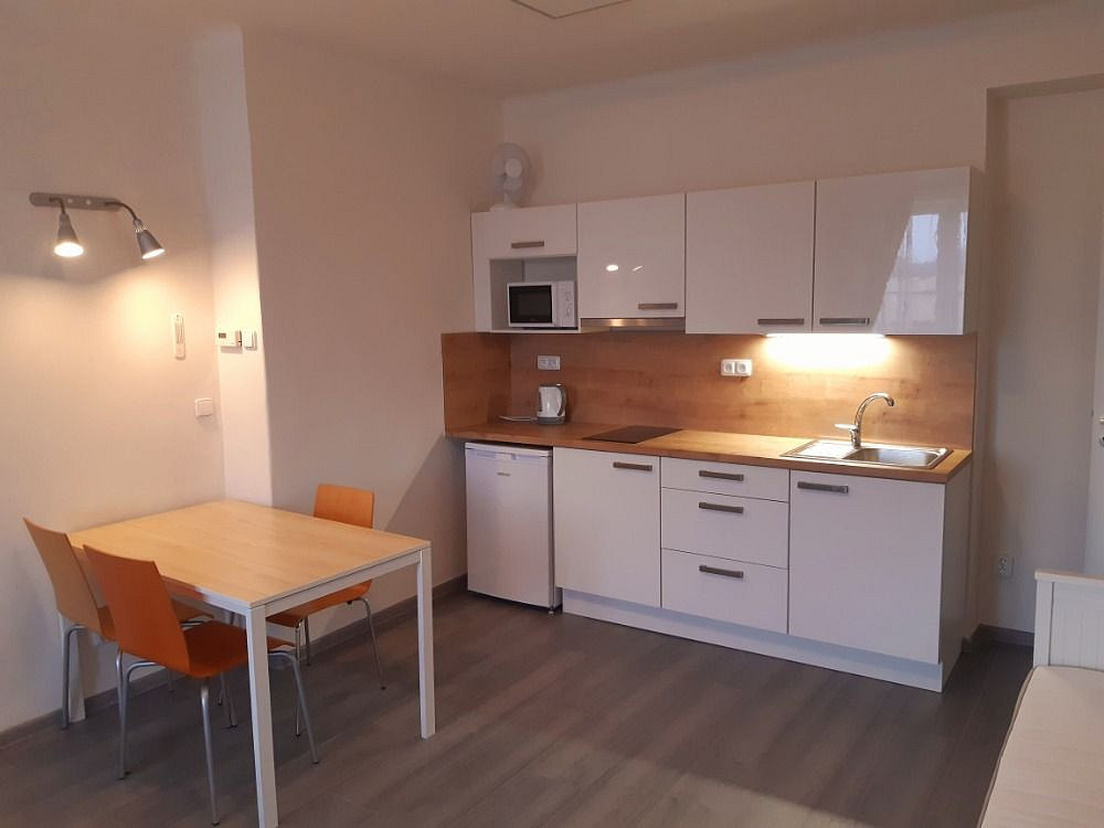 Pronájem bytu 1+kk 28 m²