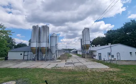 Prodej skladovacích prostor 15 000 m², Velký Borek, okres Mělník