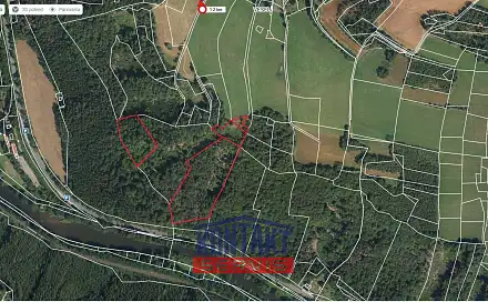 Prodej lesa 23 153 m², Železný Brod - Bzí, okres Jablonec nad Nisou