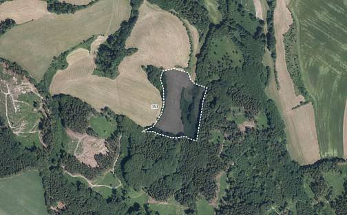 Prodej louky 5 288 m², Podmoklany, okres Havlíčkův Brod