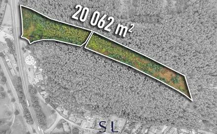 Prodej komerčního pozemku 20 062 m², Sosnová, okres Česká Lípa