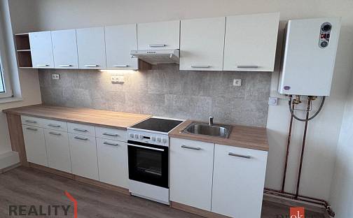 Pronájem bytu 2+kk 55 m², Mlékojedy, okres Litoměřice