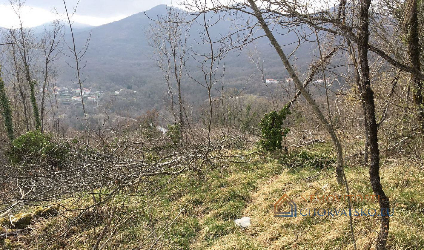 Prodej stavebního pozemku 2 600 m² - Ansicht 4