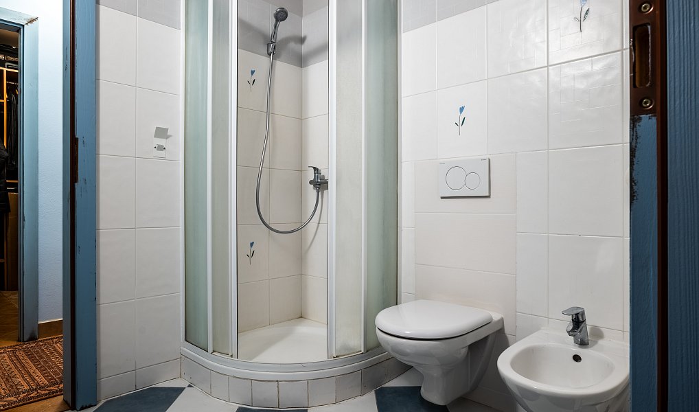 Prodej domu 240 m² s pozemkem 10 690 m², Pavlov – náhled fotky 21