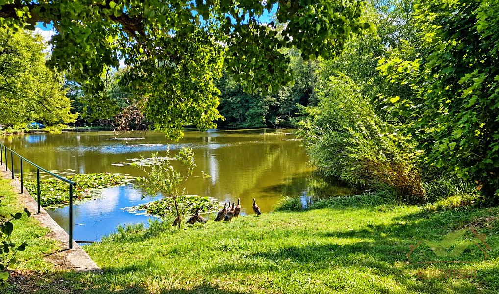 Prodej stavebního pozemku 1 076 m², Střížovice – náhled fotky 24