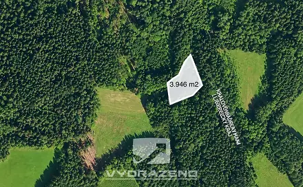 Prodej pole 3 946 m², Levínská Olešnice, okres Semily