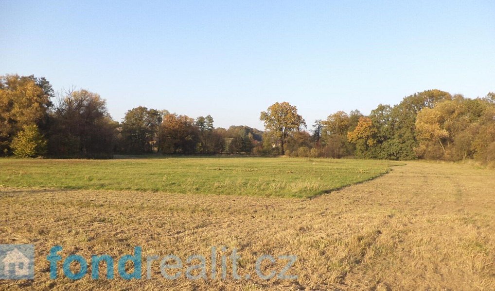 Prodej pozemku 6 981 m², Petrovice u Karviné – náhled fotky 3