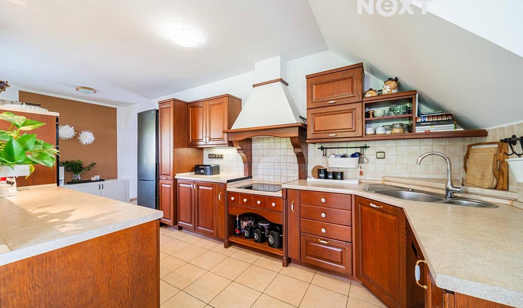 Prodej domu 350 m² s pozemkem 2 953 m², Trnávka – náhled fotky 22