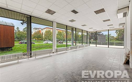 Pronájem obchodních prostor 95 m², V olšinách, Praha 10 - Strašnice, okres Praha