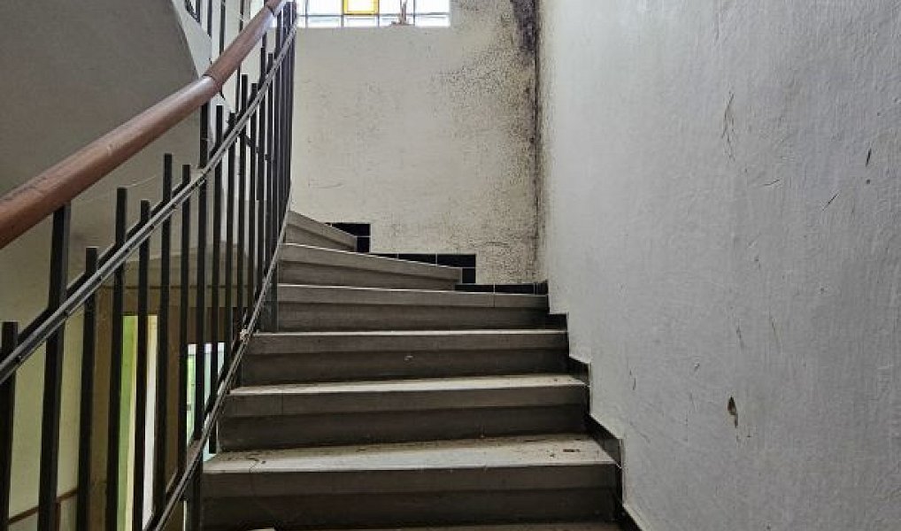 Prodej domu 186 m² s pozemkem 917 m², Tištín – náhled fotky 9