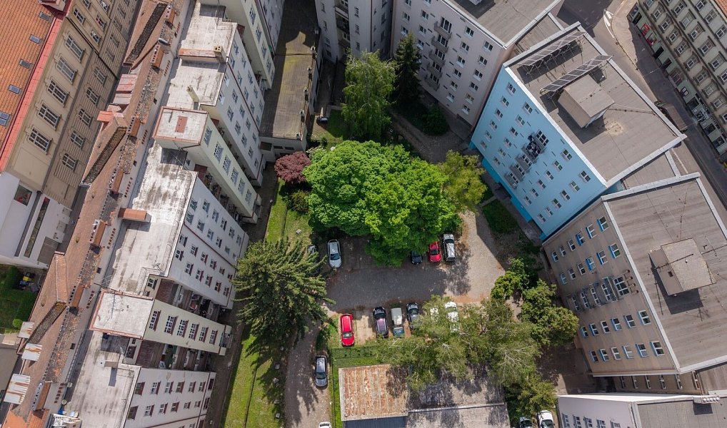 Parkovací stání u ulice Křídlovická, Brno – náhled fotky 7
