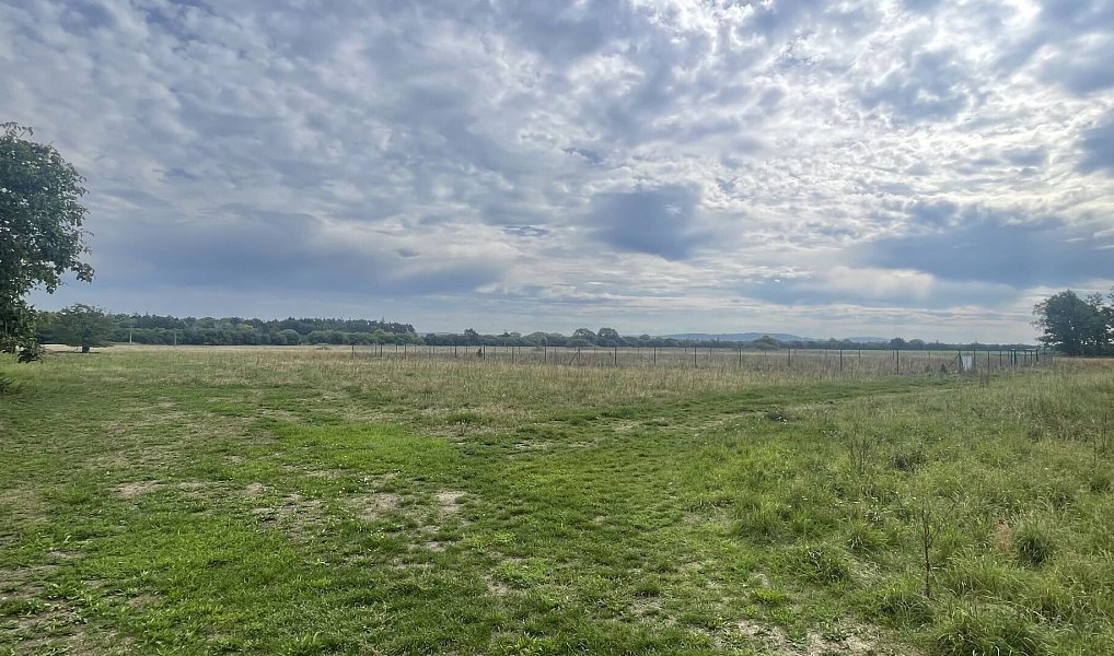 Prodej stavebního pozemku 3 367 m², Rohozec – náhled fotky 6