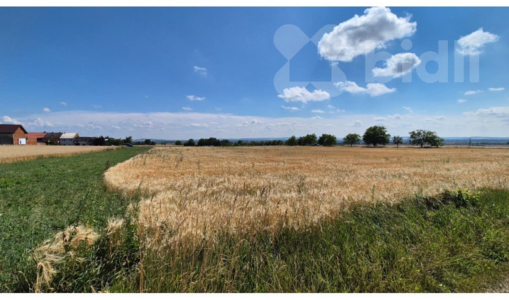 Prodej pole 611 m², Stará Ves – náhled fotky 5