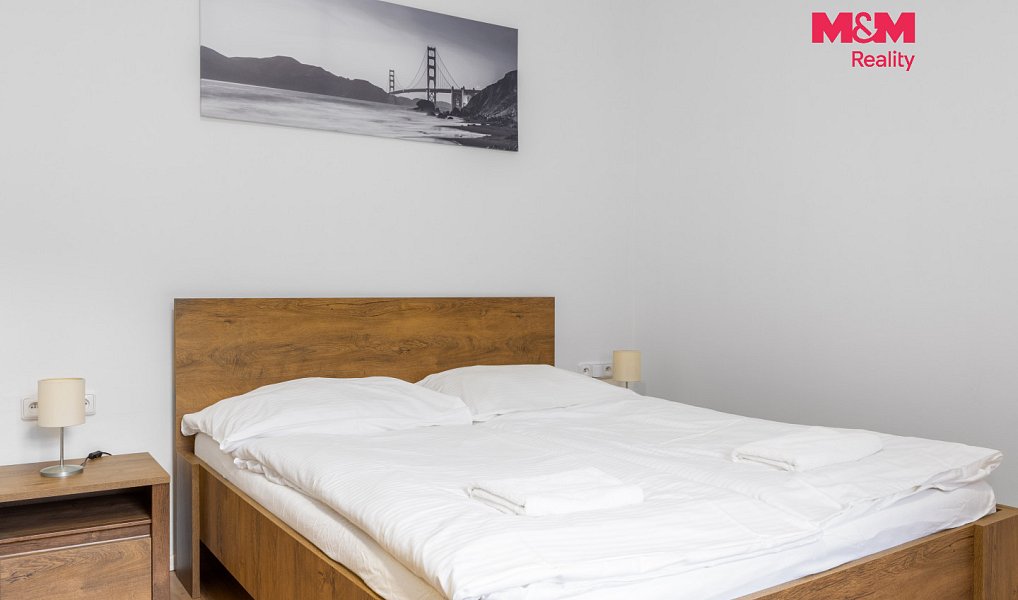 Prodej bytu 1+kk 18 m², Horní Lhota – náhled fotky 5