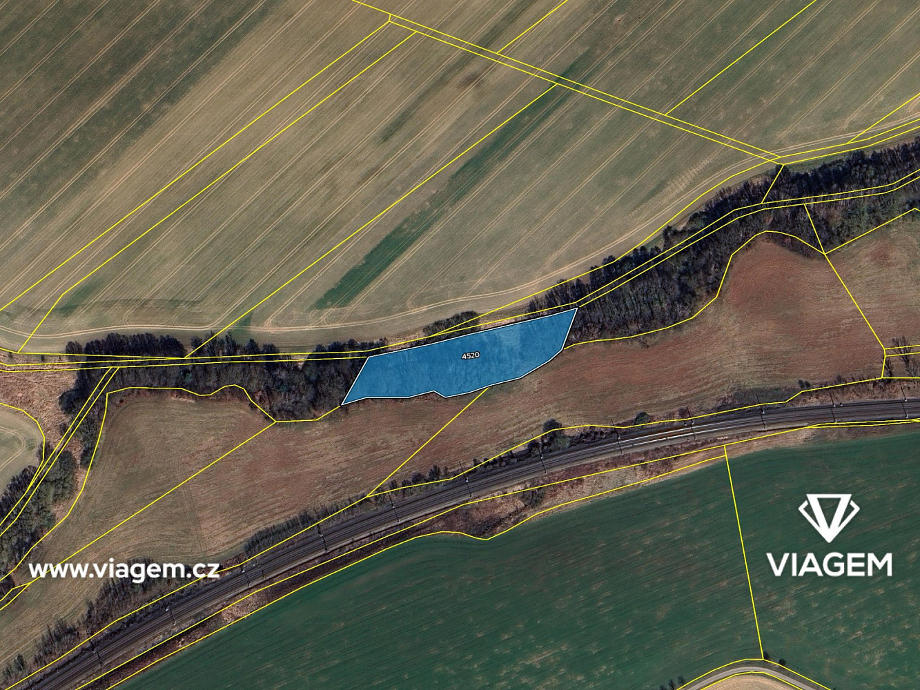 Prodej pole 889 m² – fotografie 4