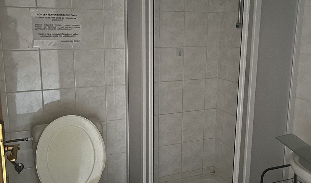 Prodej domu 160 m² s pozemkem 4 055 m², Podhradní Lhota – náhled fotky 40