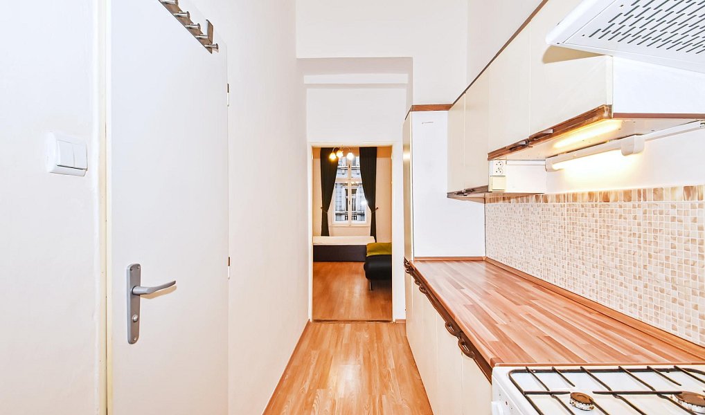 Pronájem bytu 1+1 36 m², Praha – fotka 1 z 9