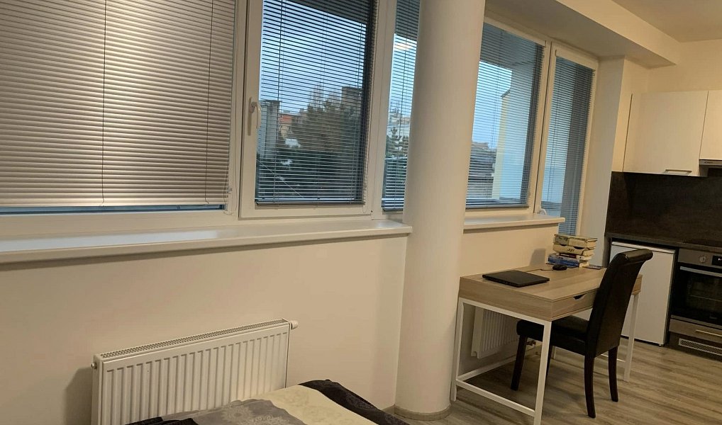 Prodej bytu 1+kk, 38 m², Trnitá - Brno-město, Brno