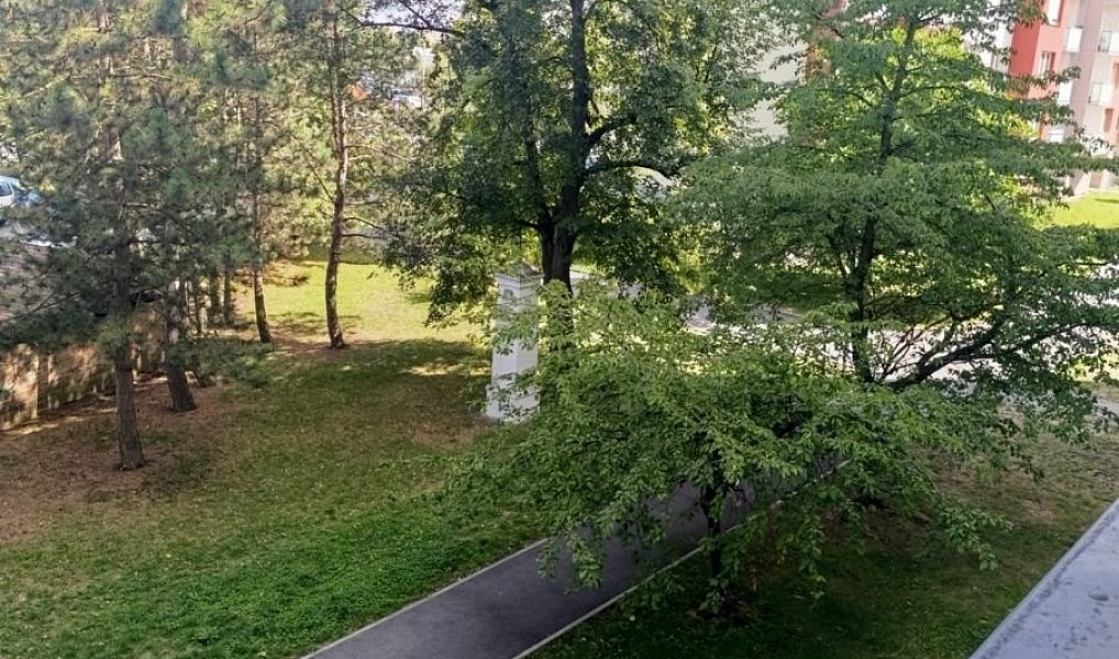 Prodej bytu 3+1 78 m², České Budějovice – náhled fotky 12