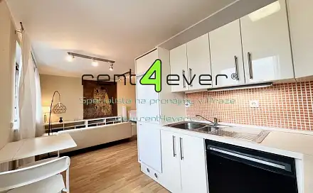 Pronájem bytu 1+kk 35 m²