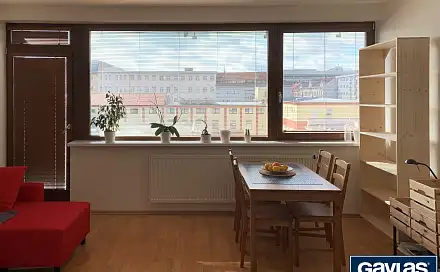 Pronájem bytu 1+kk 34 m², U měšťanského pivovaru, Praha 7 - Holešovice