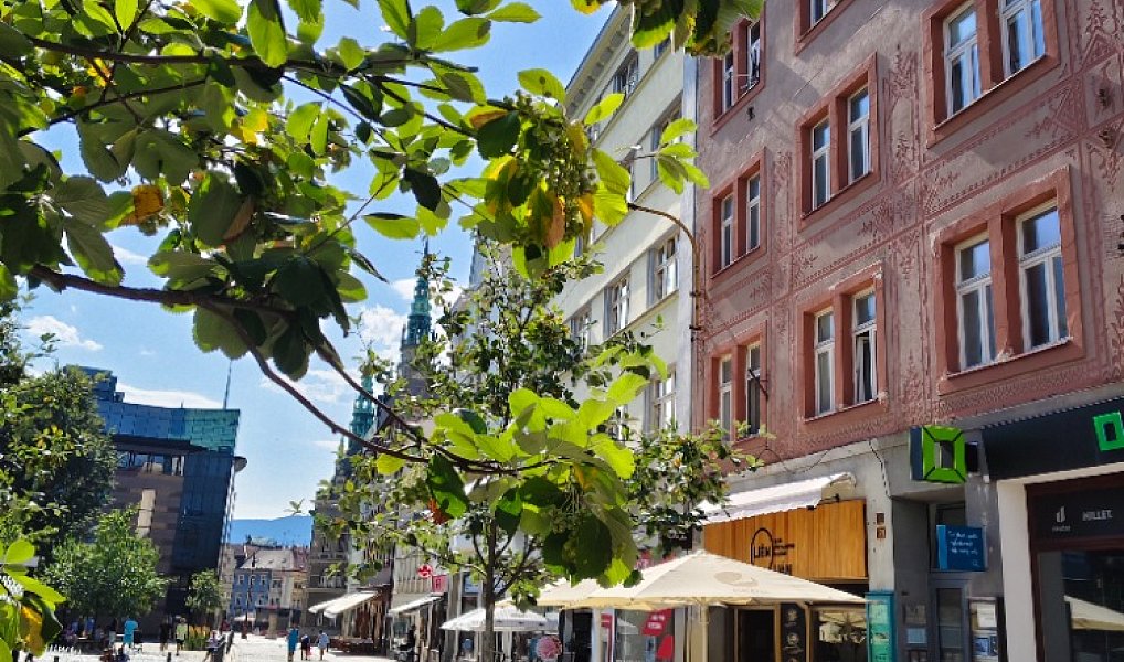 Prodej bytu 2+kk 58 m², Liberec – náhled fotky 2