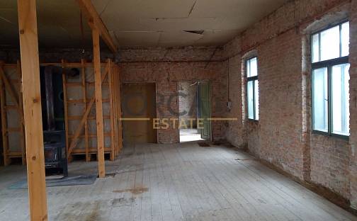 Prodej domu 340 m² s pozemkem 181 m², Panské Dubenky, okres Jihlava