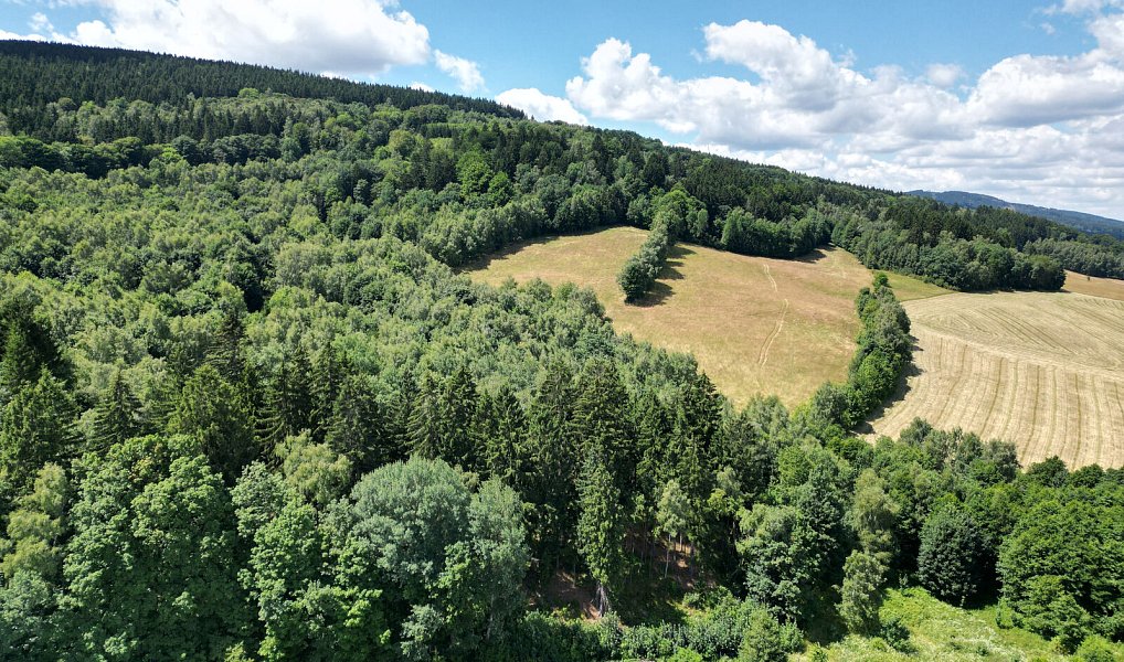 Prodej lesa 4 606 m², Šimonovice – náhled fotky 5