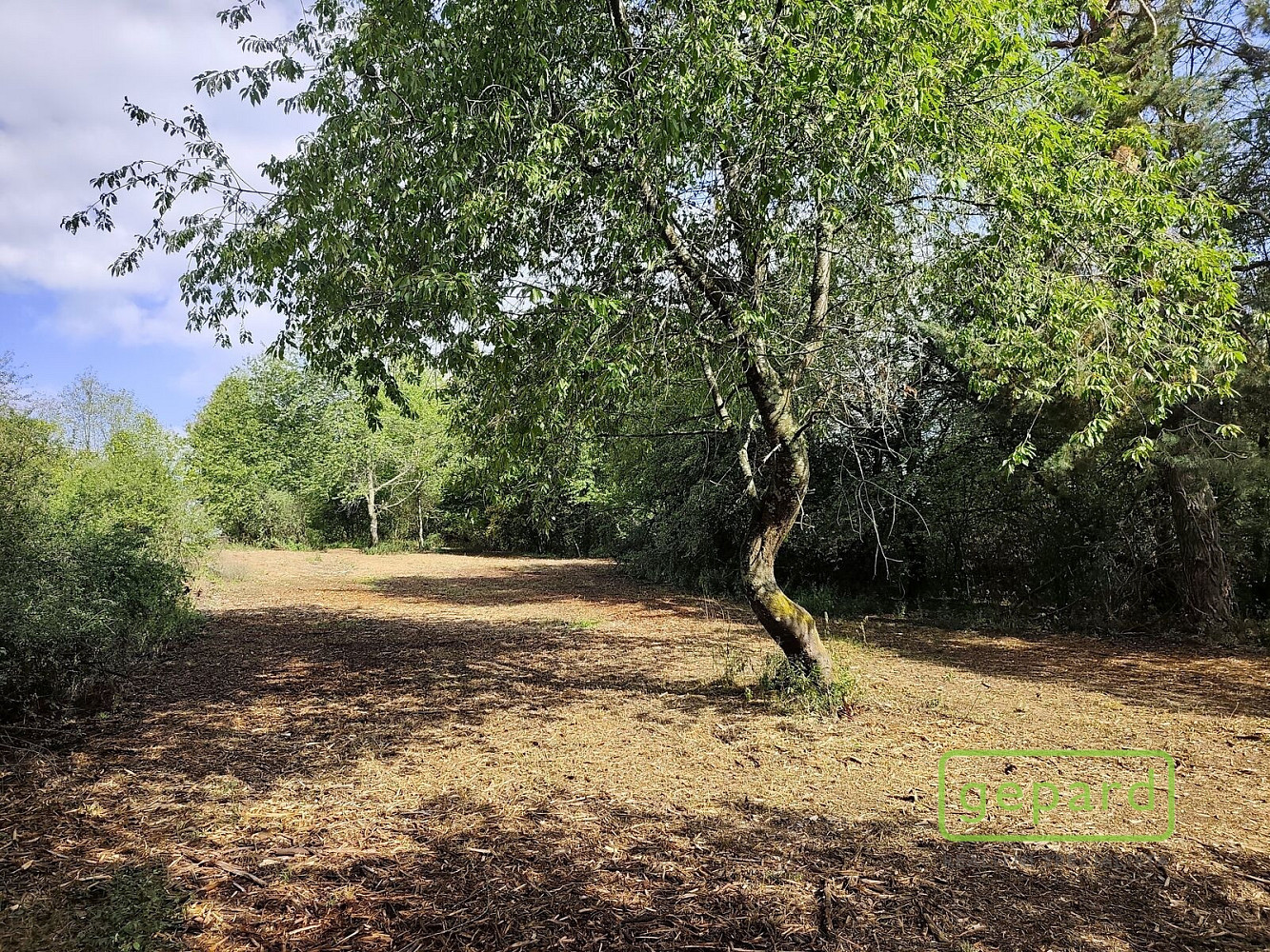 Prodej stavebního pozemku 14 307 m² – fotografie 2