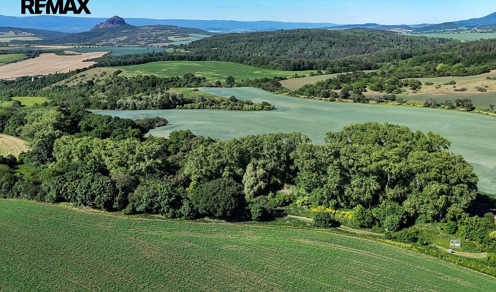 Prodej lesa 5 841 m², Skršín – náhled fotky 25