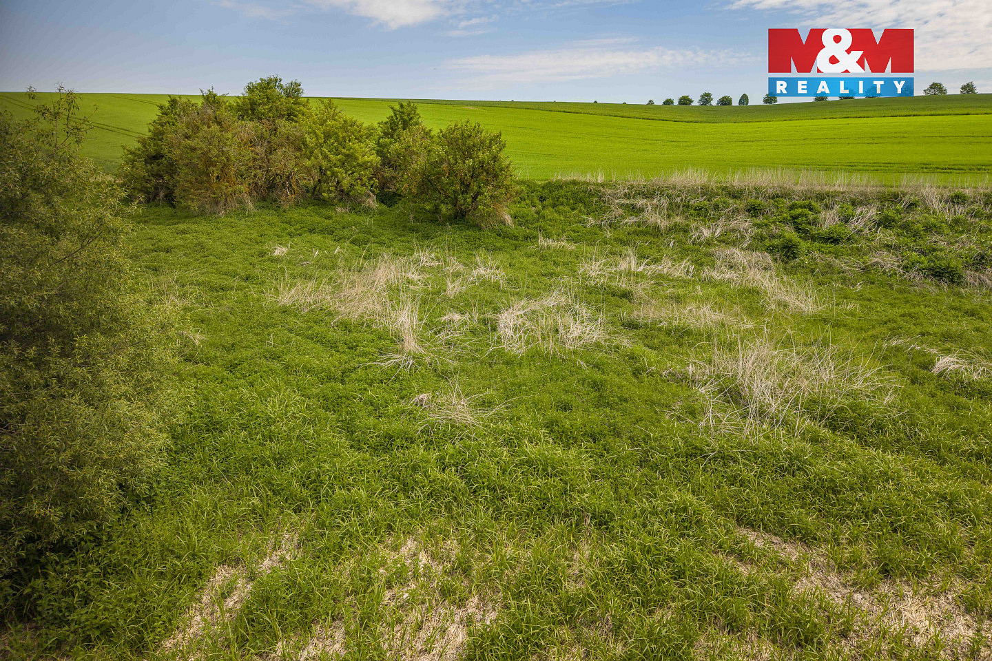Prodej louky 1 137 m² – fotografie 5