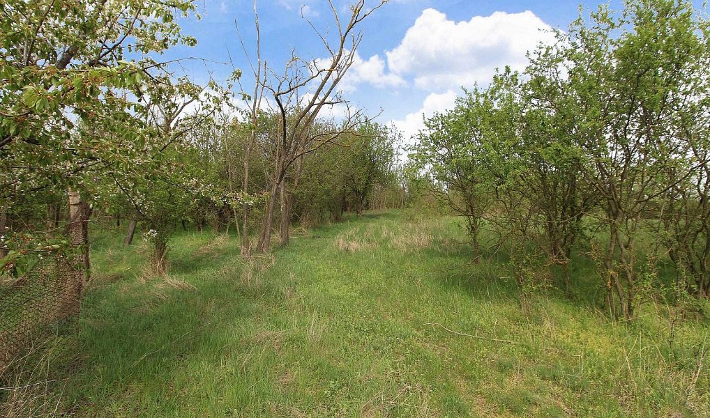 Prodej pozemku 16 843 m², Znojmo – náhled fotky 4