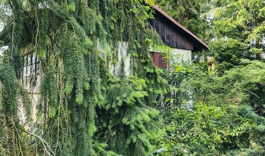 Prodej stavebního pozemku 850 m², Plzeň – náhled fotky 13