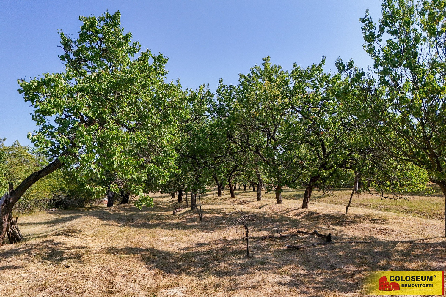 Prodej pole 4 149 m² – fotografie 4