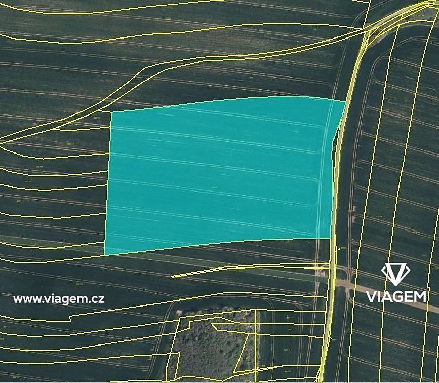 Prodej pole 4 926 m² – fotografie 3