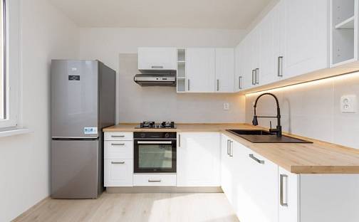 Pronájem bytu 1+1 36 m², Josefa Brabce, Ostrava - Moravská Ostrava