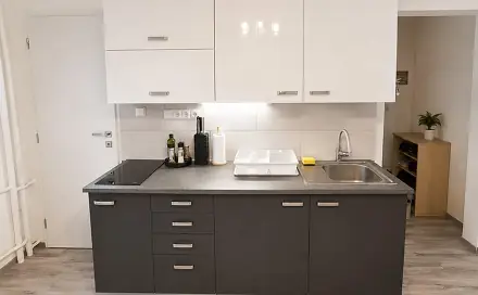 Pronájem bytu 2+1 49 m², Pionýrů, Ústí nad Labem - Střekov