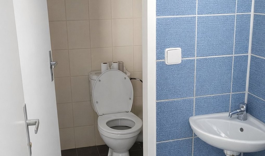 Pronájem výrobních prostor 860 m², Ostrava – náhled fotky 7