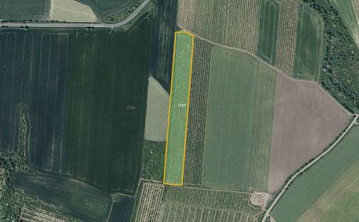 Prodej pole 28 919 m², Želkovice, okres Louny