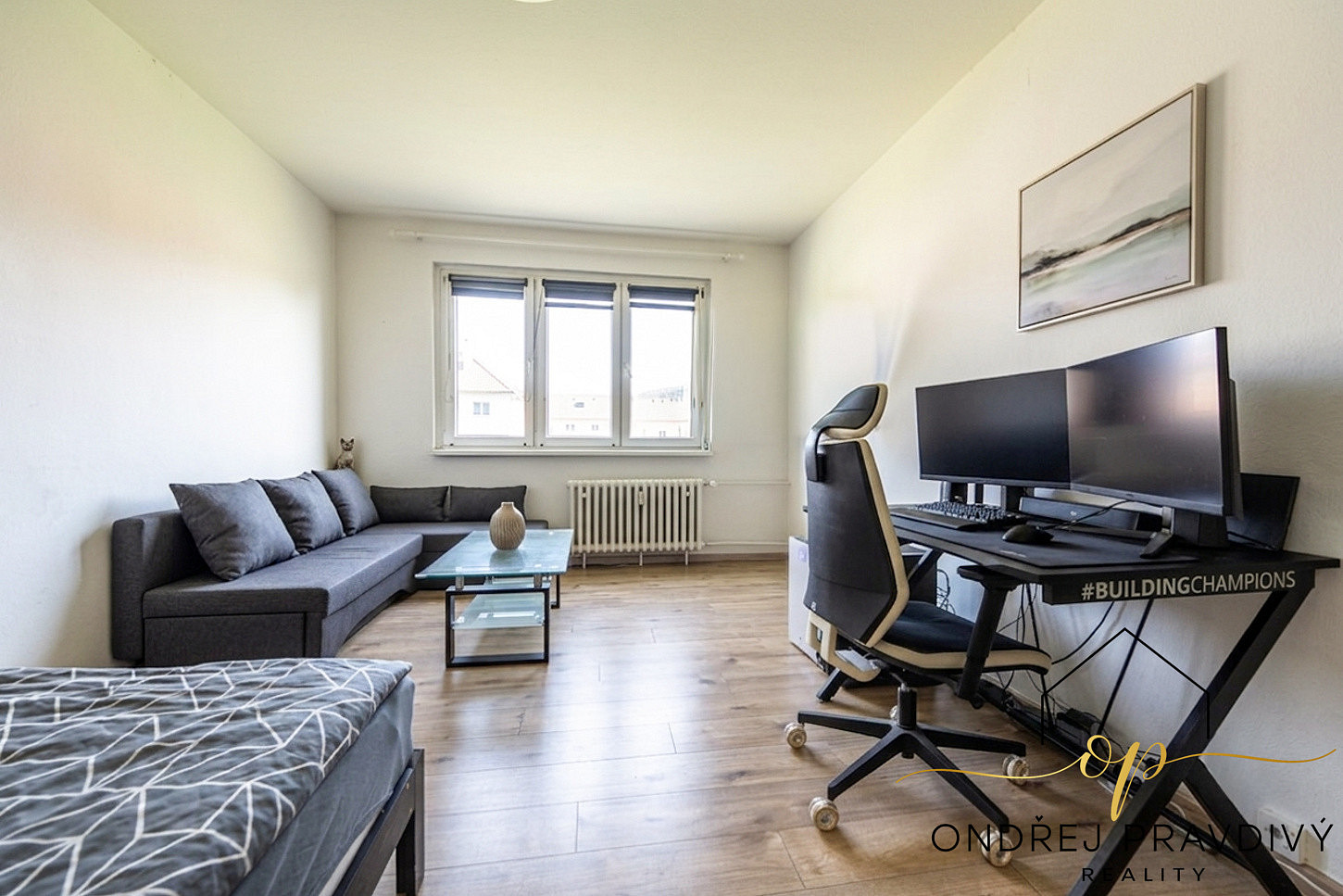 Prodej bytu 1+1 34 m²