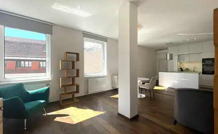 Pronájem bytu 1+kk 55 m²