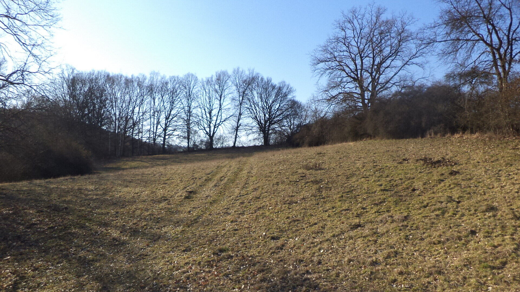 Prodej pole 7 345 m²