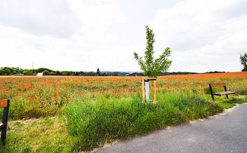 Prodej stavebního pozemku 3 473 m², Plzeň - Doubravka