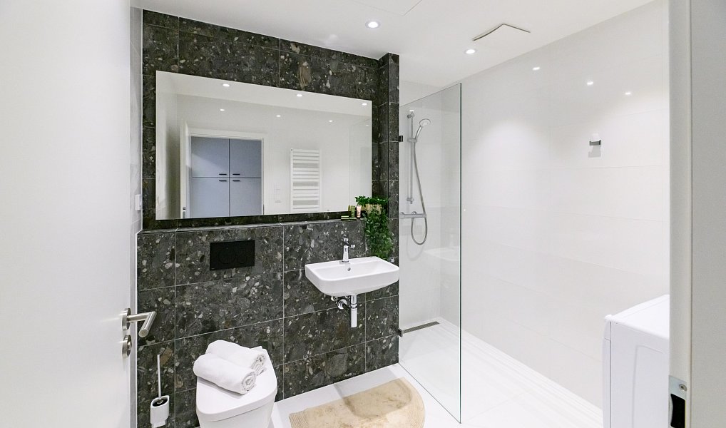 Pronájem bytu 1+kk 27 m², Brno – náhled fotky 5