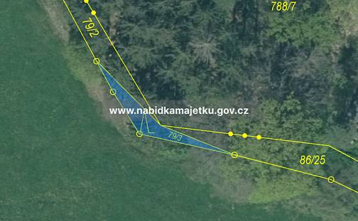 Prodej lesa 51 m², Starý Plzenec, okres Plzeň-město