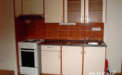 Pronájem bytu 1+1 54 m², Dřevařská, Brno - Veveří