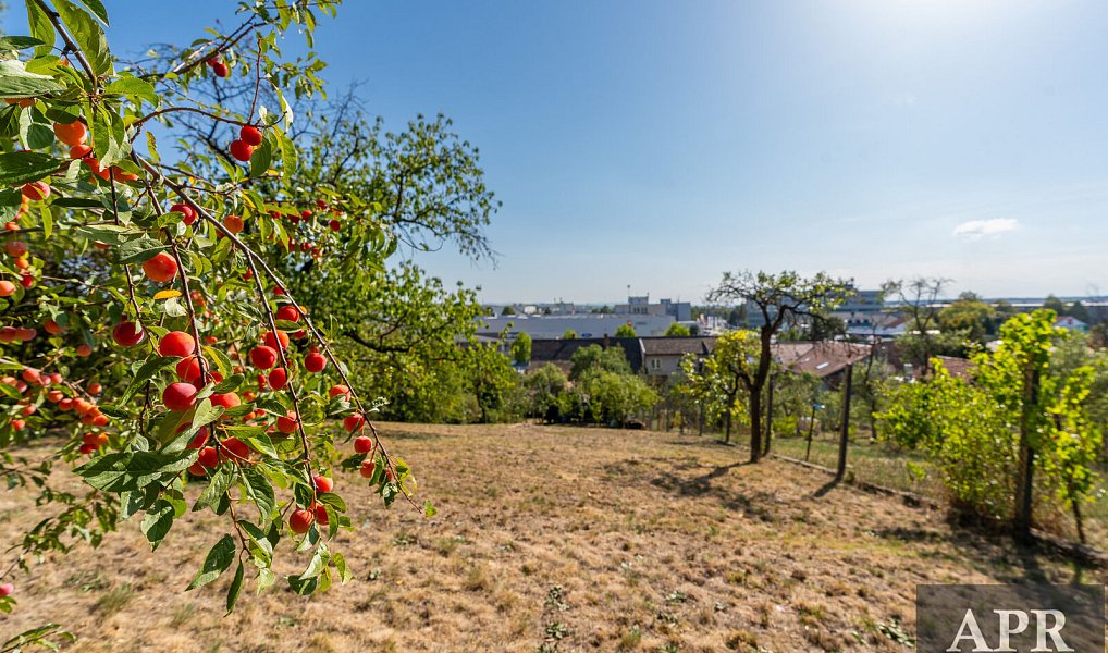Prodej domu 150 m² s pozemkem 1 062 m², Uherské Hradiště – náhled fotky 26