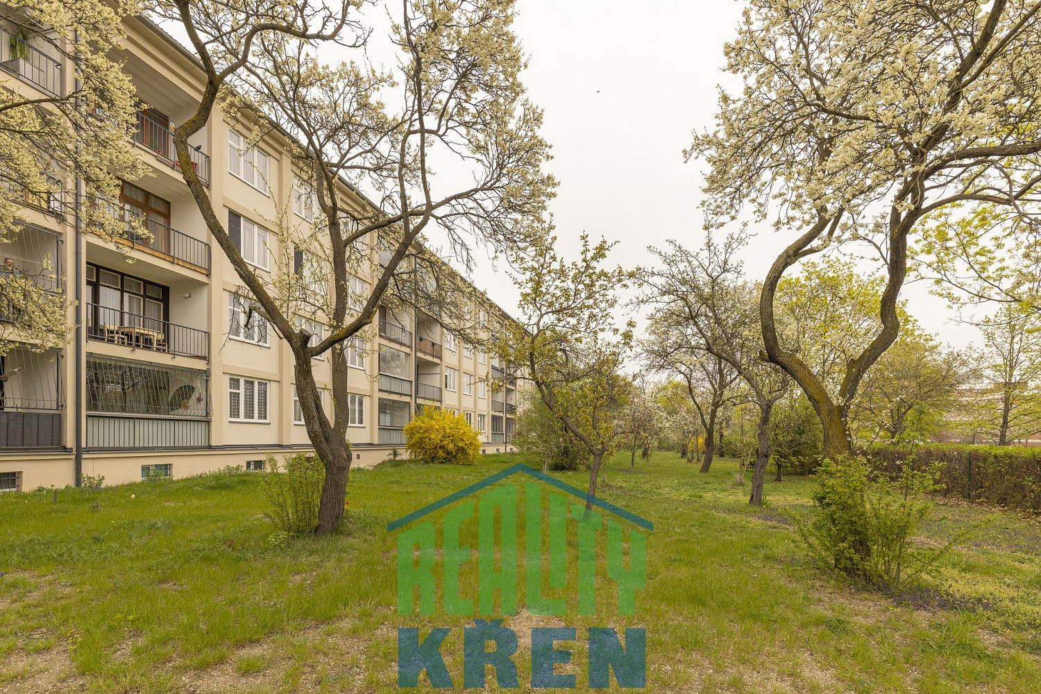 Prodej bytu 3+1 93 m² - Widok 3